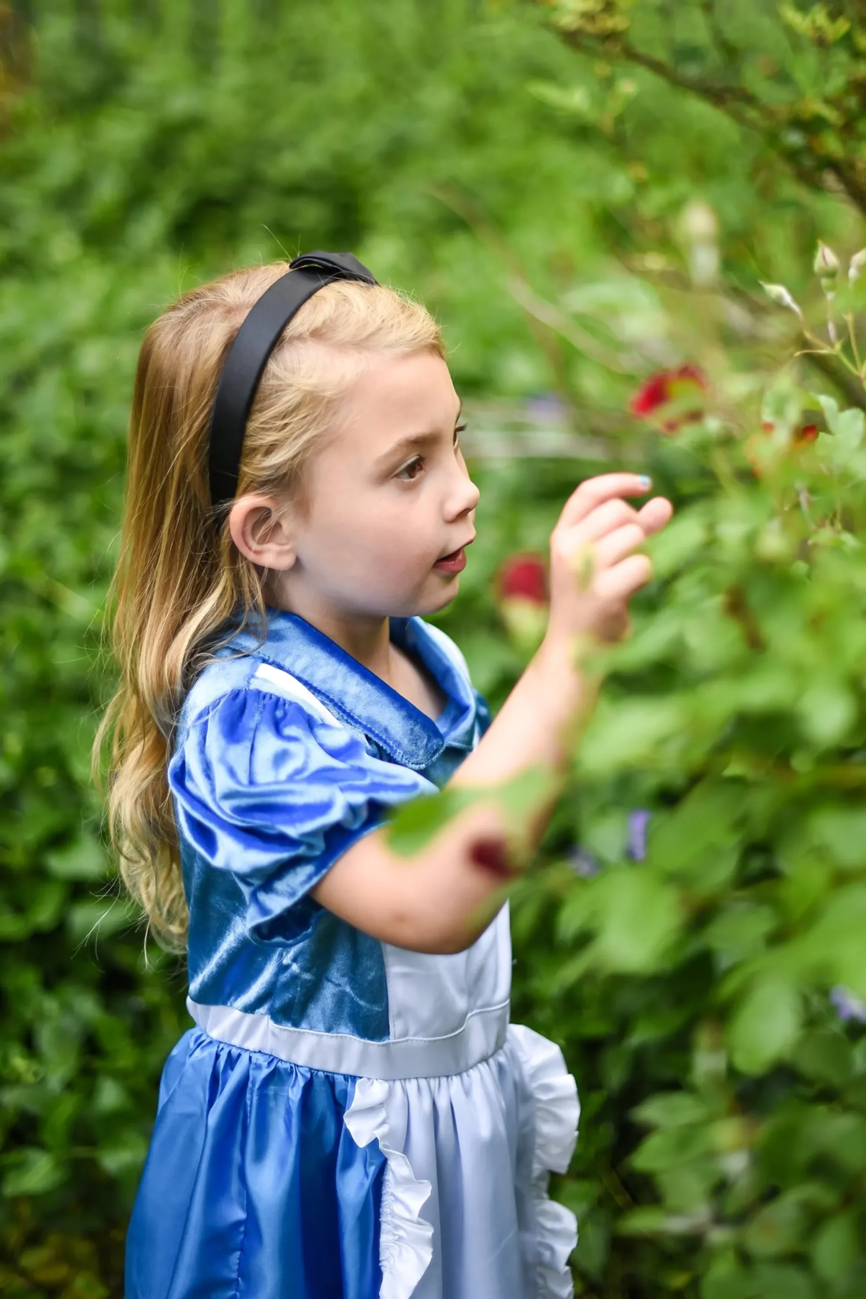 Little Adventures Alice In Wonderland Dress Up With Headband> Dresses