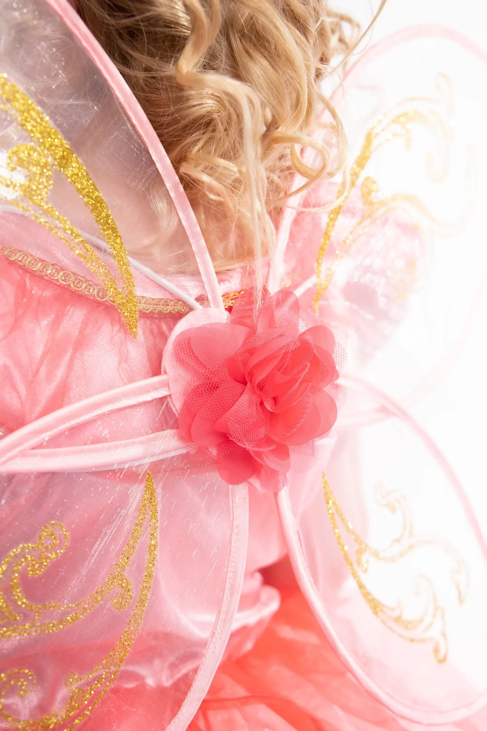 Little Adventures Butterfly Fairy Wings> Accessories