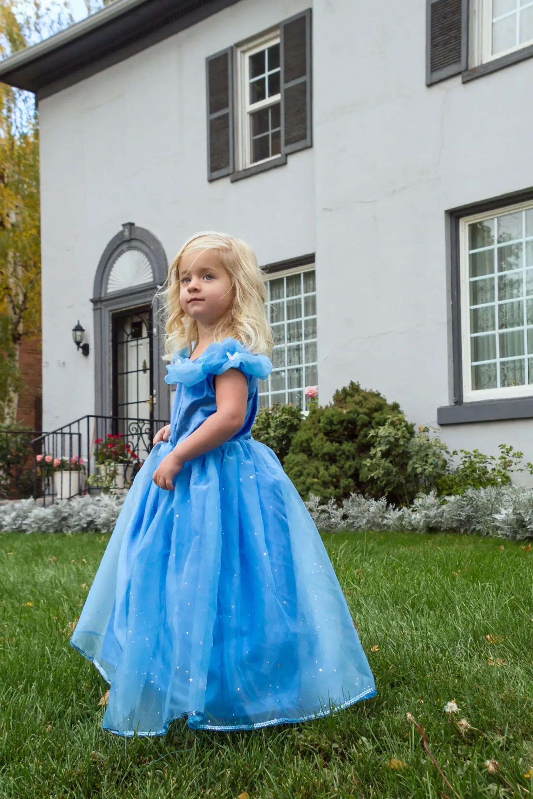 Little Adventures Deluxe Cinderella Butterfly Dress Up> Dresses