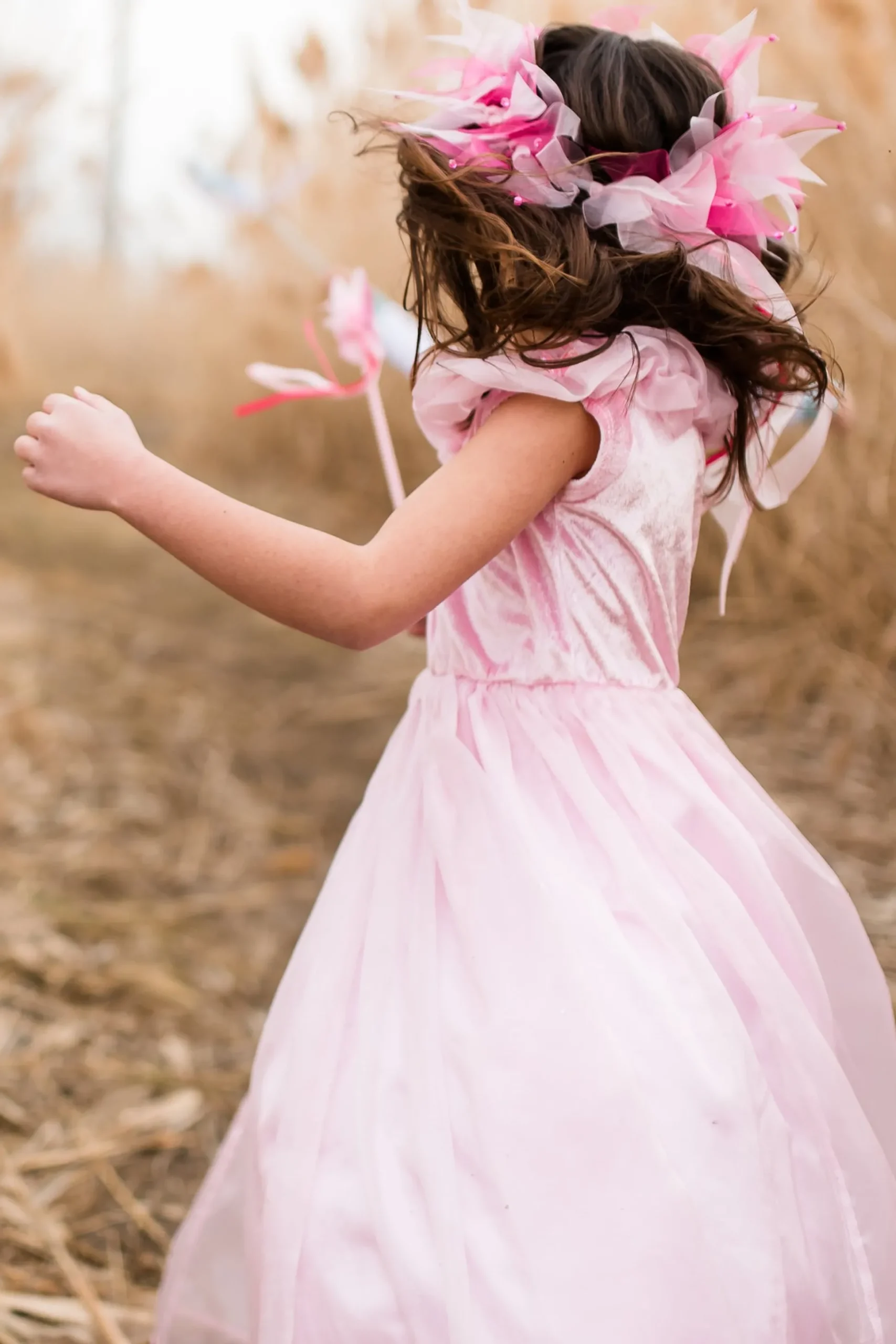 Little Adventures Deluxe Pink Butterfly Princess> Dresses
