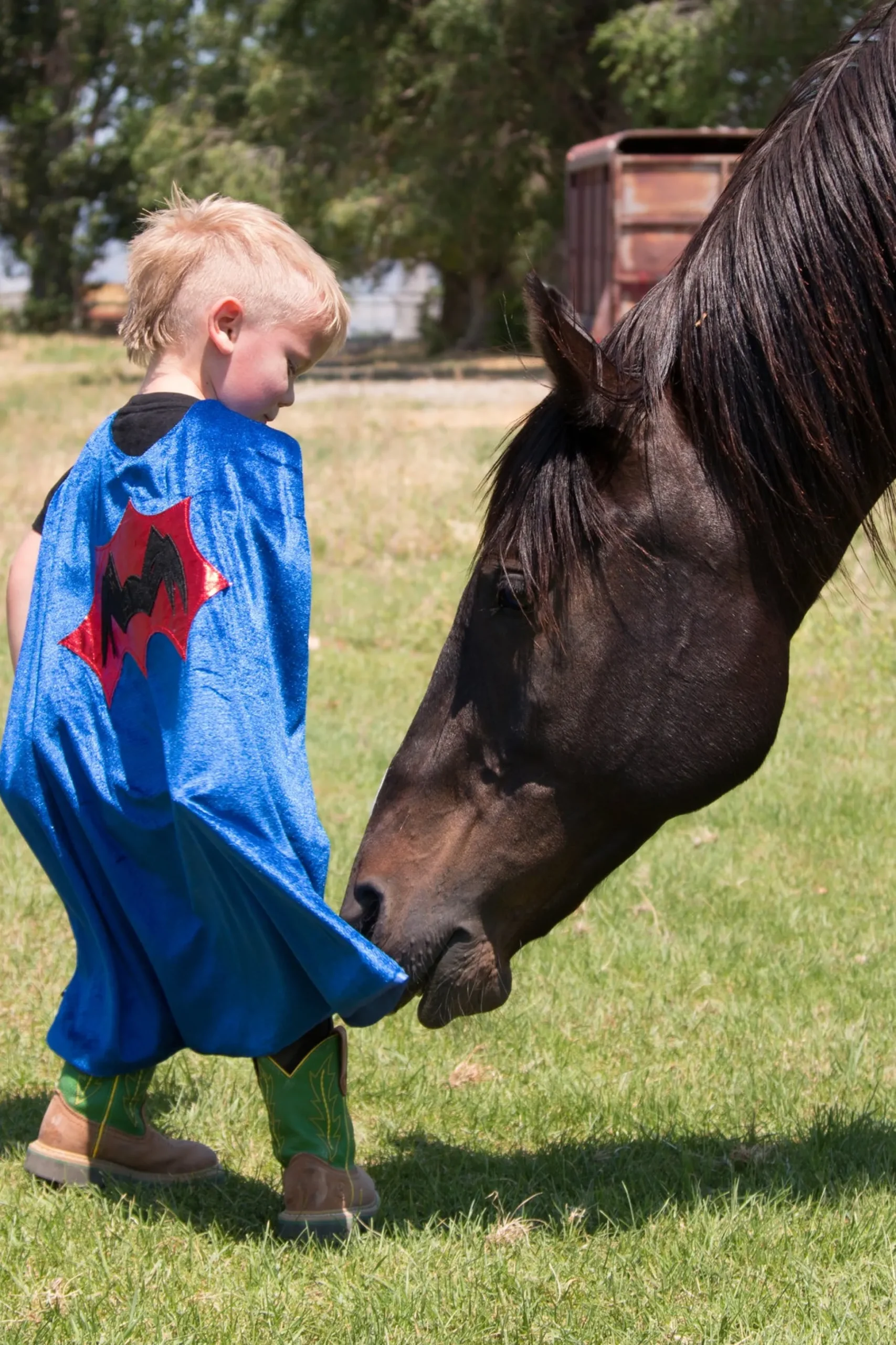 Little Adventures Spider Cape & Mask Set> Super Hero