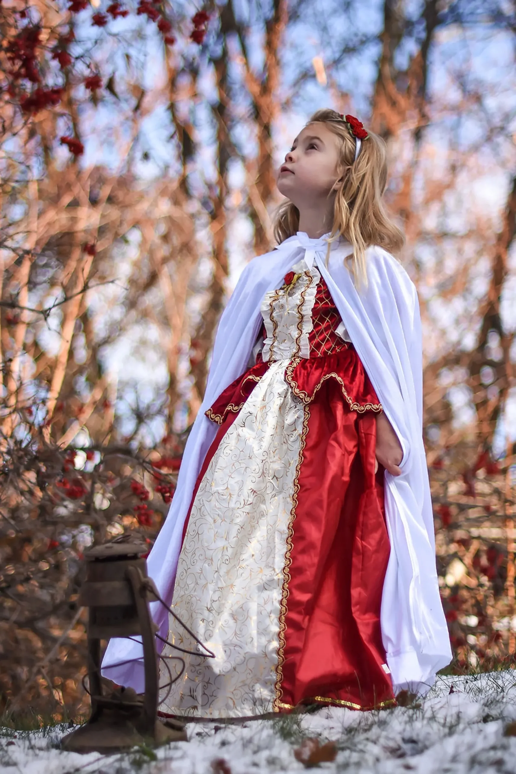 Little Adventures Winter Beauty> Dresses